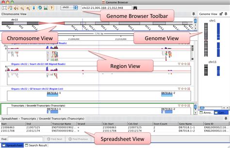 genomad|genome browser.